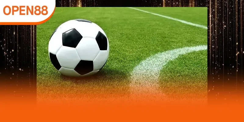 Phù hợp người yêu bóng đá thích phân tích sâu